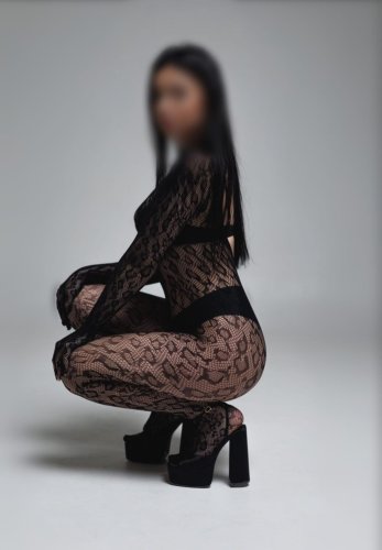 ANNA NOVINKA:23,UT-ČT 18-20.11.